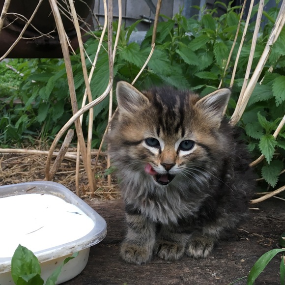 Meet your Posher, Christine - Picture 3 of 16